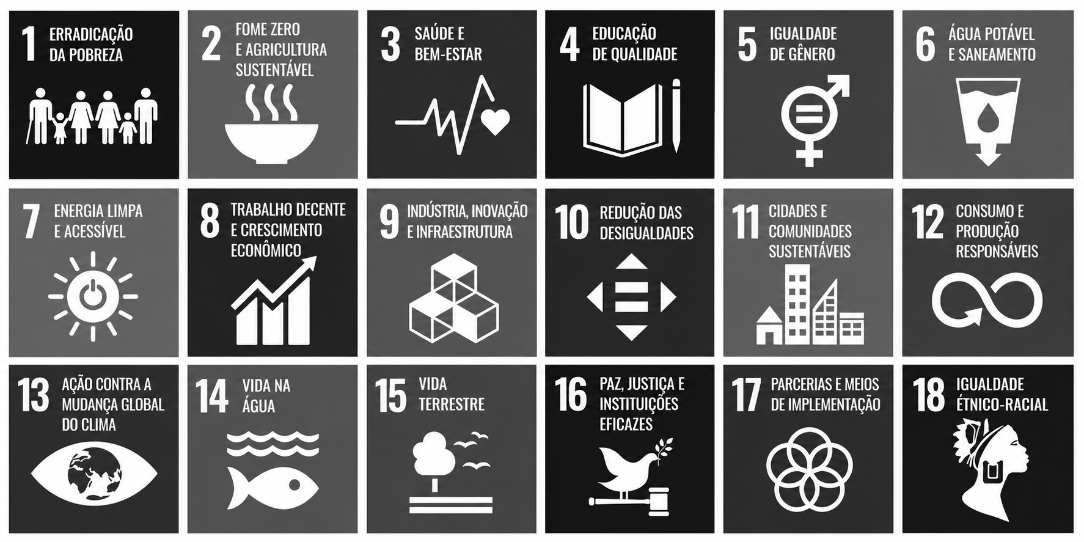 Objetivos de Desenvolvimento Sustentável apresentados no guia